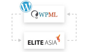 Website Localisation Integration with WPML plugin
